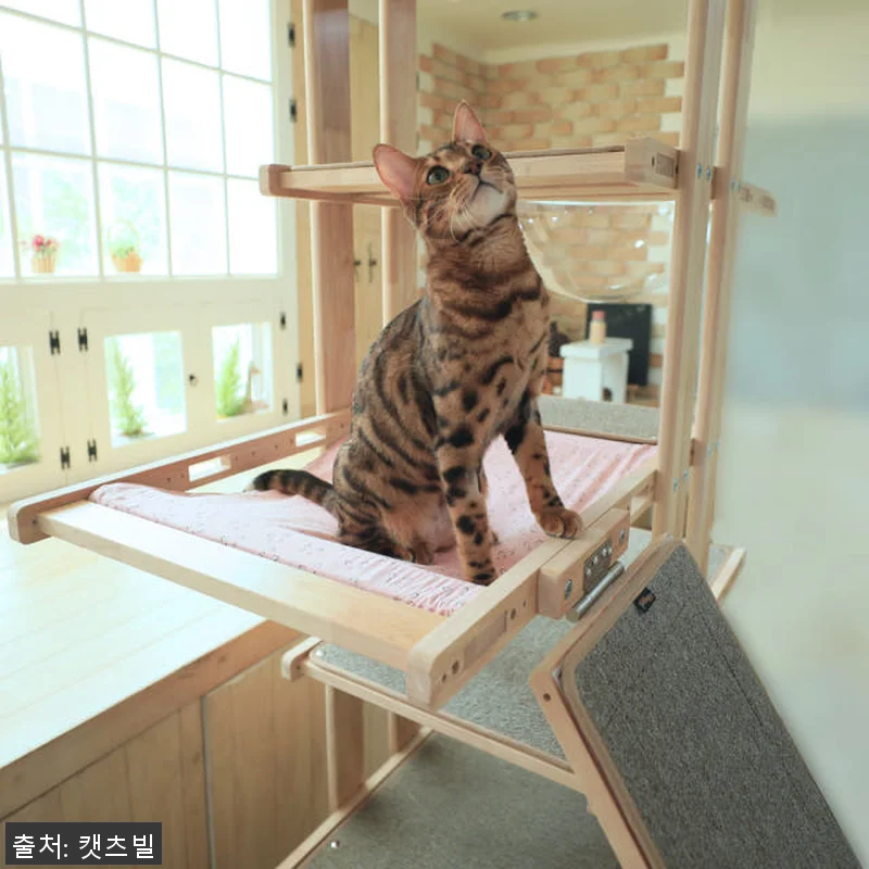 캣츠빌 THE큰타워 원목 캣타워 B타 관련 이미지 2