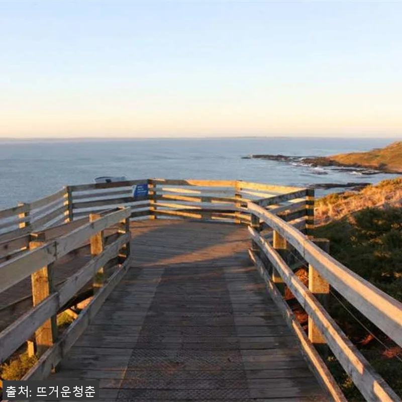 호주 멜버른 3일 패키지 사용후기 - 관련 이미지 2