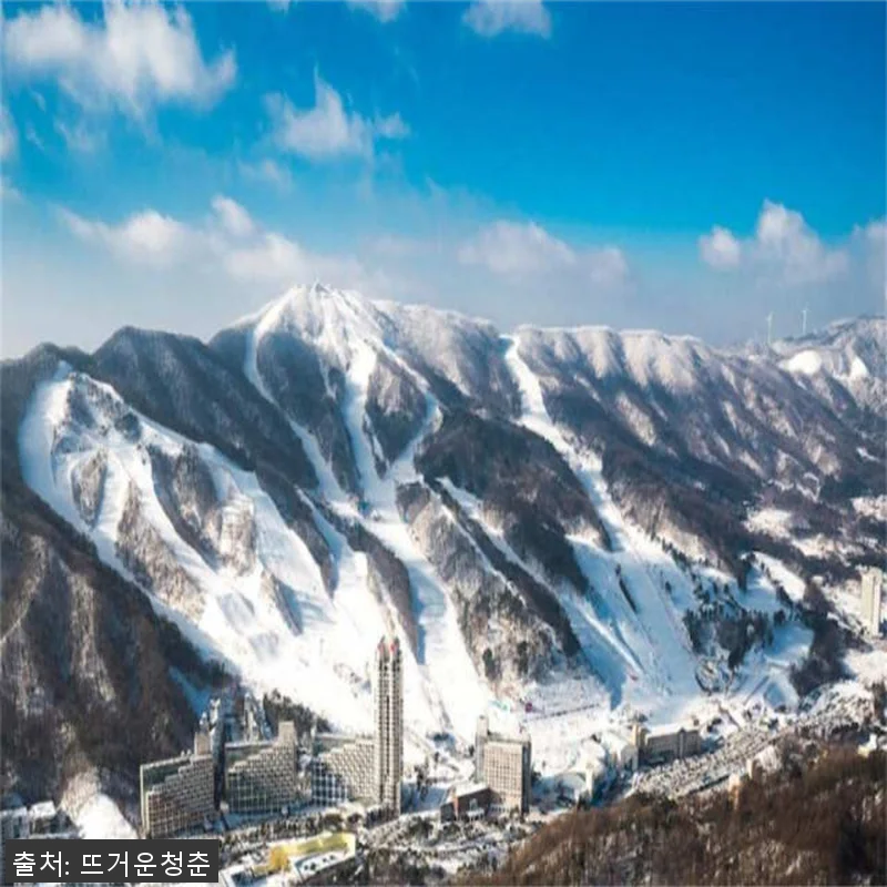 서울 출발 강원도 일일투어 사용후기 관련 이미지 2