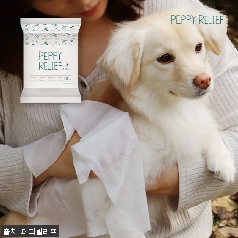 페피릴리프 강아지 바디티슈 10팩 대 관련 이미지 2
