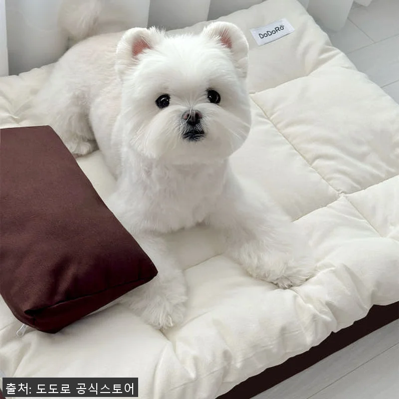 도도로 강아지 애견 방석 침대 쿠션 관련 이미지 1
