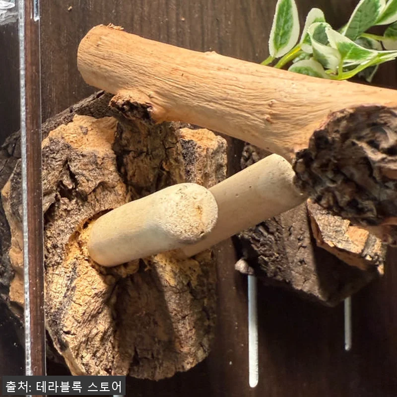 테라블록 3045 버튼잎바인 조화 시 관련 이미지 3