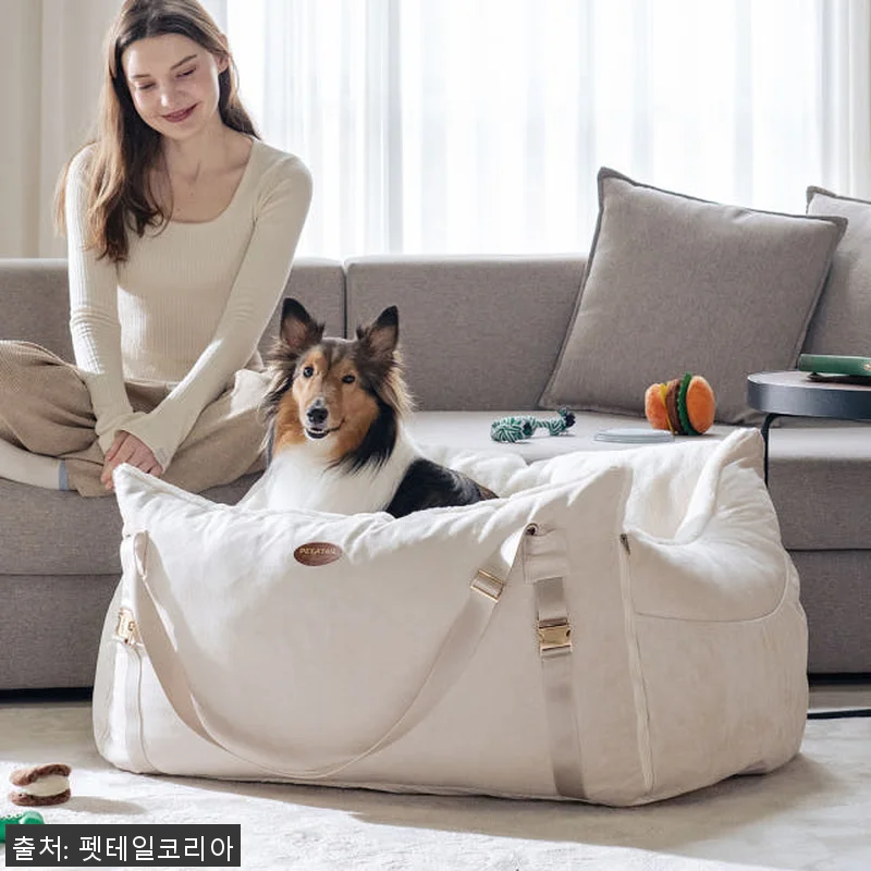 펫테일 셀러브리티 은나노 강아지 카시 관련 이미지 3