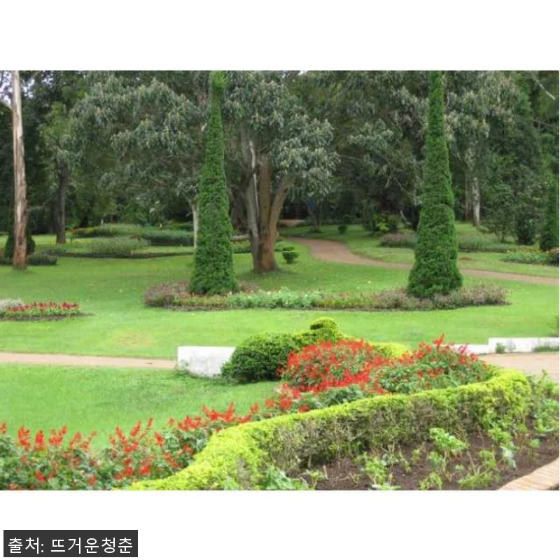 미얀마 만달레이 출발 핀우린(메이묘) 관련 이미지 3