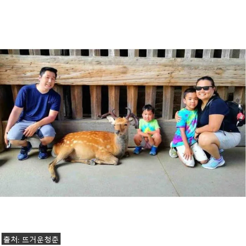 일본 나라 : 점심과 함께 나라 공원 관련 이미지 3