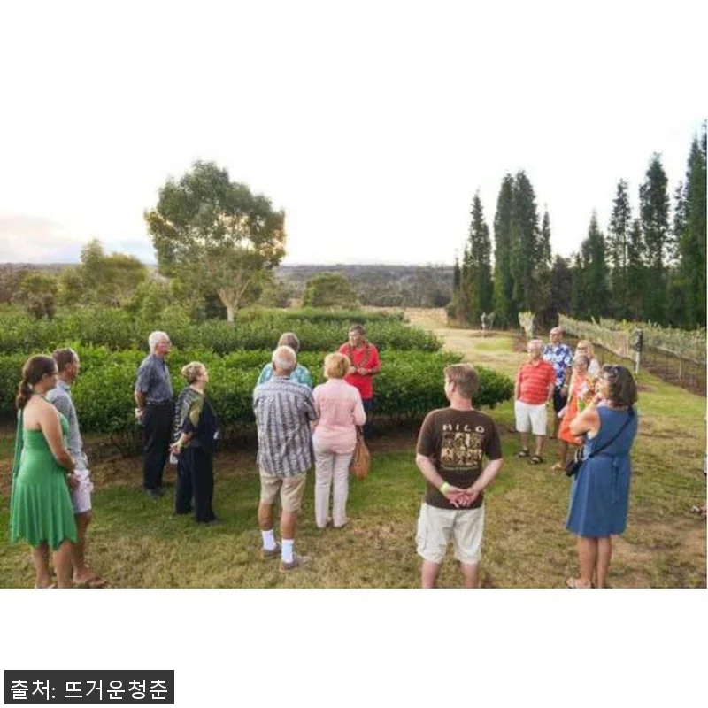 미국 하와이 빅아일랜드 코나 하와이 관련 이미지 3