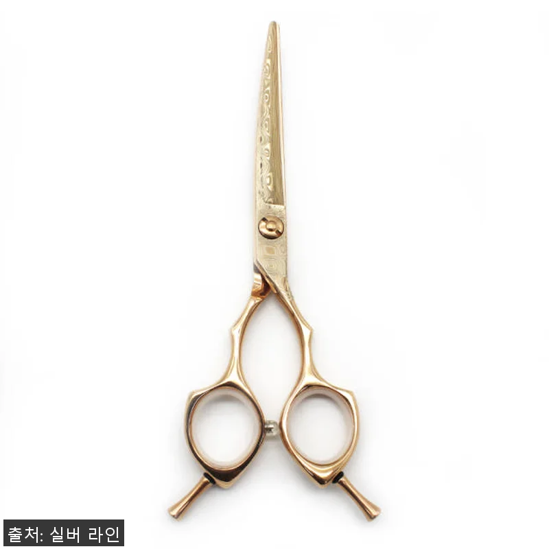 실버라인펫 MSC 강아지 애견 미용 관련 이미지 3