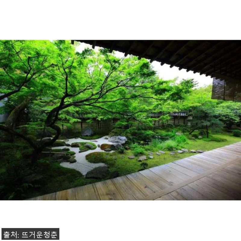 일본 교토: 일본 정원 개인 맞춤형 관련 이미지 3
