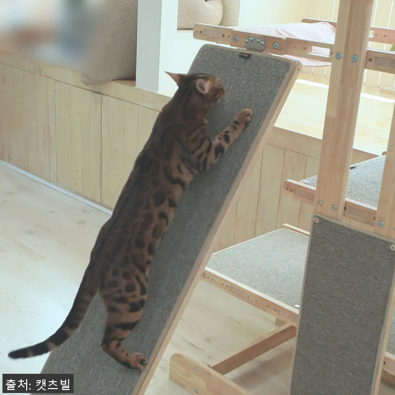 캣츠빌 THE큰타워 원목 캣타워 B타 관련 이미지 3