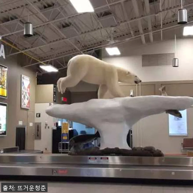 캐나다 옐로나이프 2박3일 오로라투어 관련 이미지 3