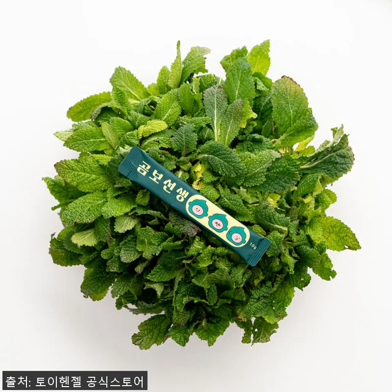 곰보선생 곰보배추시럽 배암차즈기 진액 관련 이미지 3