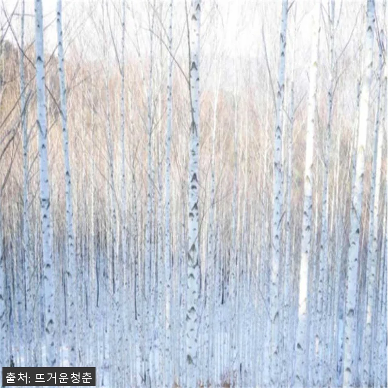 서울 출발 강원도 일일투어 사용후기 관련 이미지 3