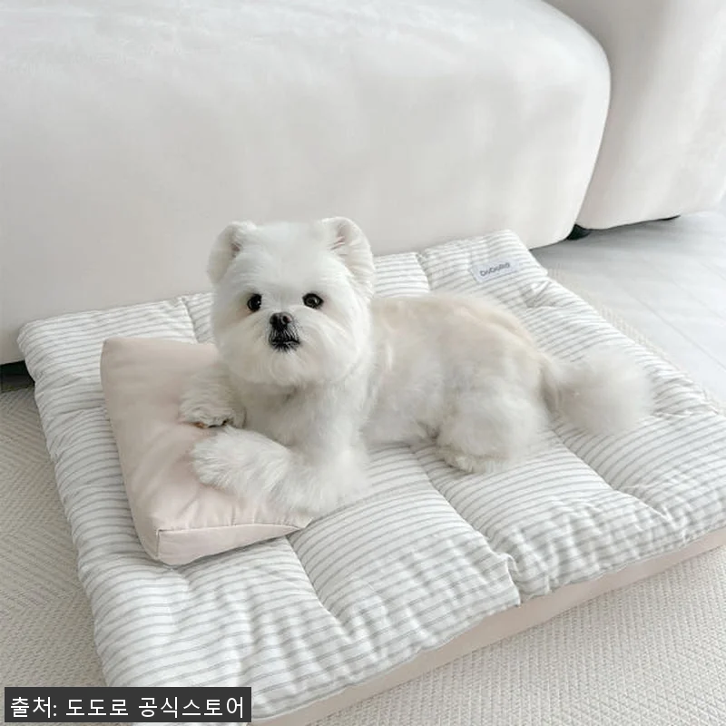 도도로 강아지 애견 방석 침대 쿠션 관련 이미지 2