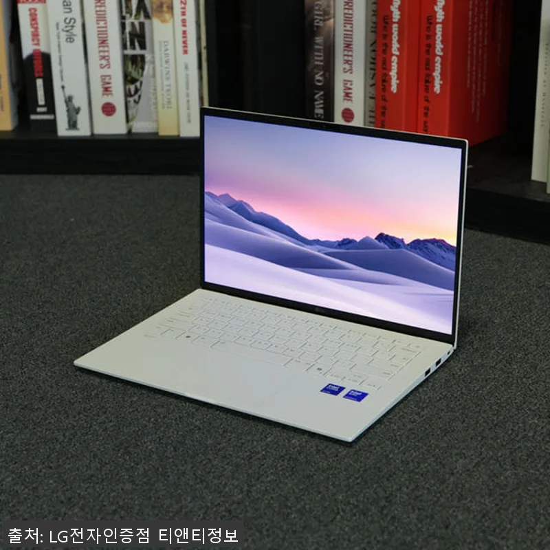 LG그램14 14ZD90T-GX56K 관련 이미지 3