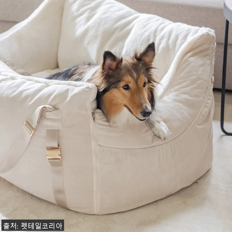 펫테일 셀러브리티 은나노 강아지 카시 관련 이미지 4