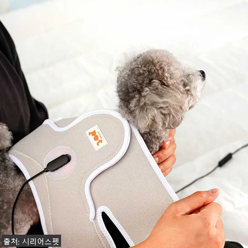 시리어스펫 슬개골 따땃망토 사용후기: 관련 이미지 4