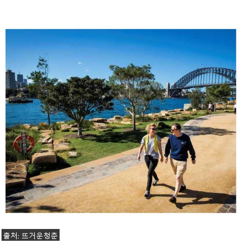 호주 시드니 럭셔리 반나절 하이라이트 관련 이미지 4