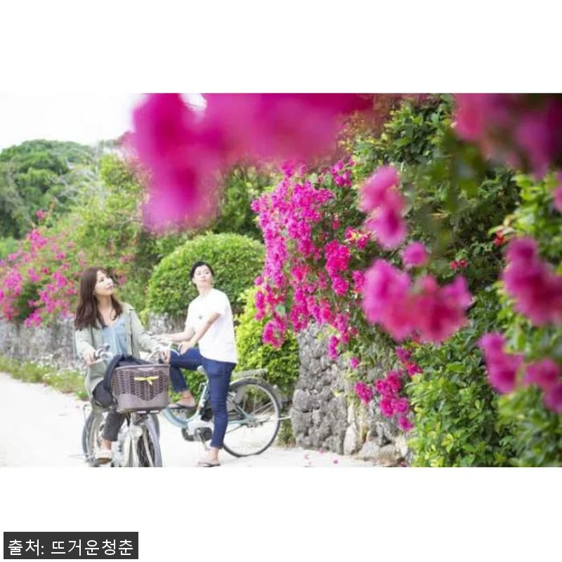 일본 오키나와 이시가키 출발 하마지마 관련 이미지 4