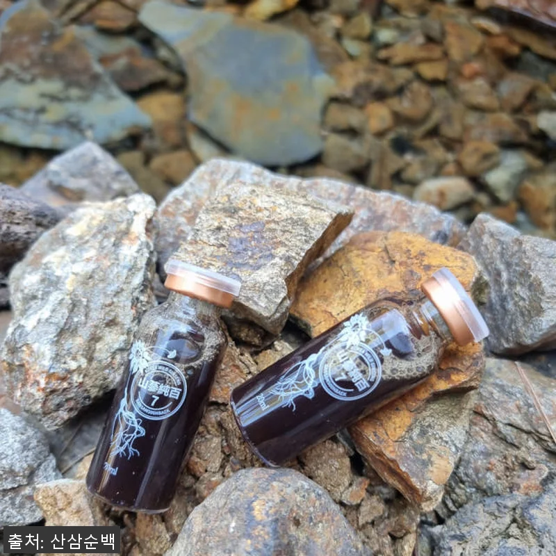 (1+1 이벤트) 산삼순백 7년근 산 관련 이미지 4