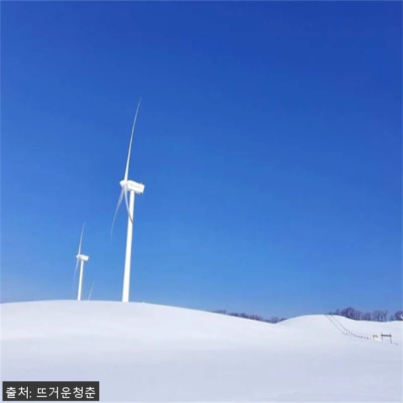 서울 출발 강원도 일일투어 사용후기 관련 이미지 4