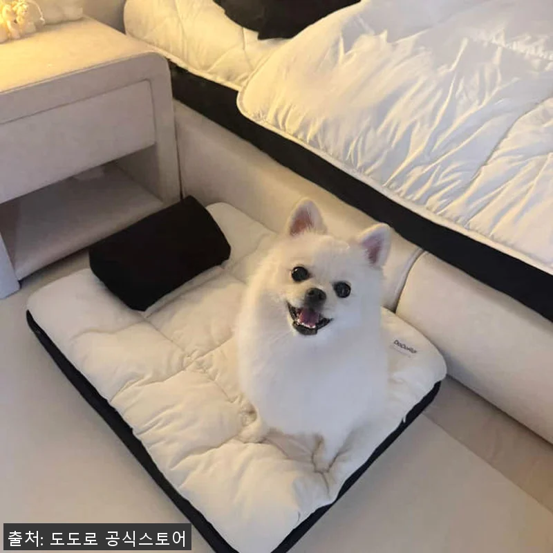 도도로 강아지 애견 방석 침대 쿠션 관련 이미지 3