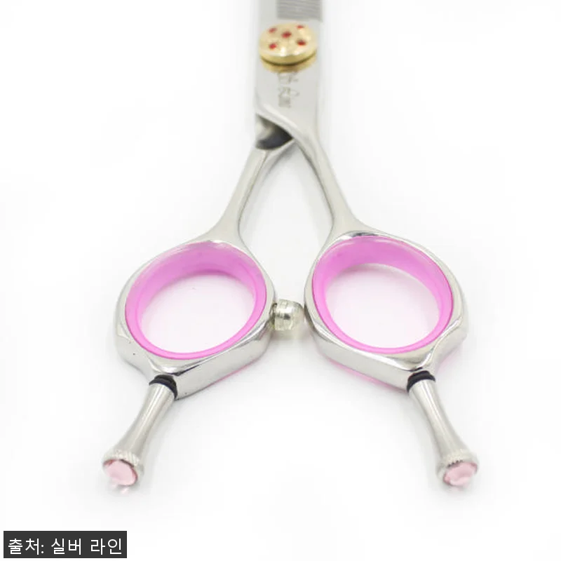 실버라인펫 DTT 강아지 애견 미용 관련 이미지 4