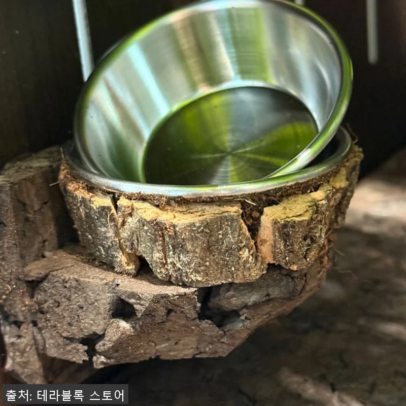 테라블록 3045 버튼잎바인 조화 시 관련 이미지 5