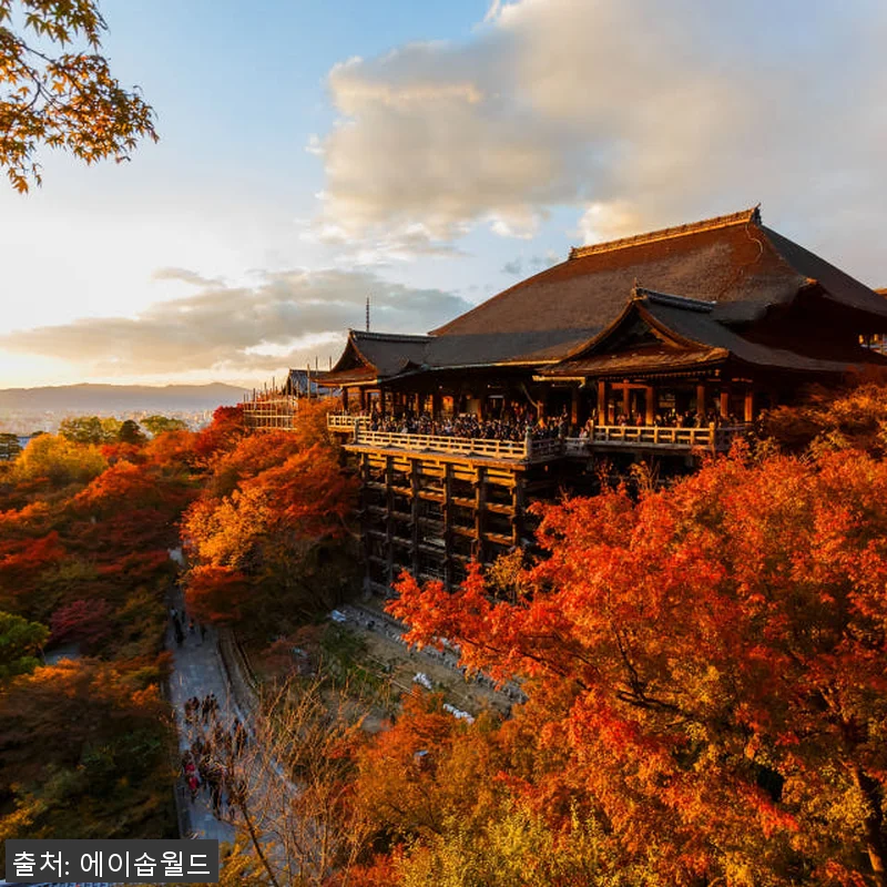 오사카 픽업/샌딩 서비스 사용후기: 관련 이미지 5