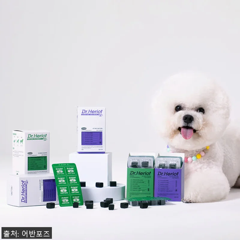 닥터헤리엇 알러지케어 강아지 피부 면 관련 이미지 5
