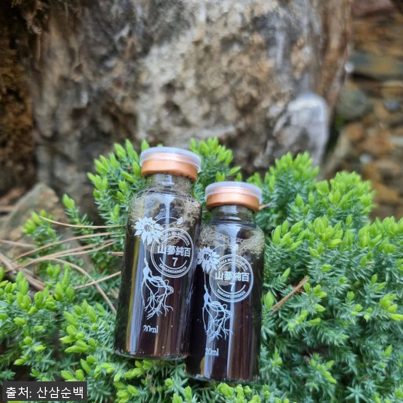 (1+1 이벤트) 산삼순백 7년근 산 관련 이미지 5