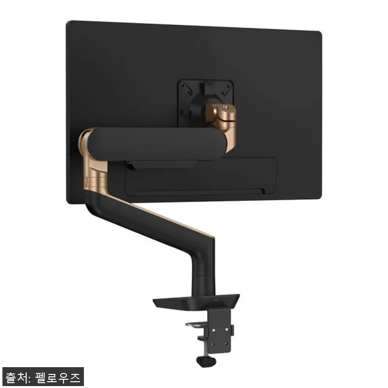 펠로우즈 라이징 고중량 프리미엄 싱글 관련 이미지 5