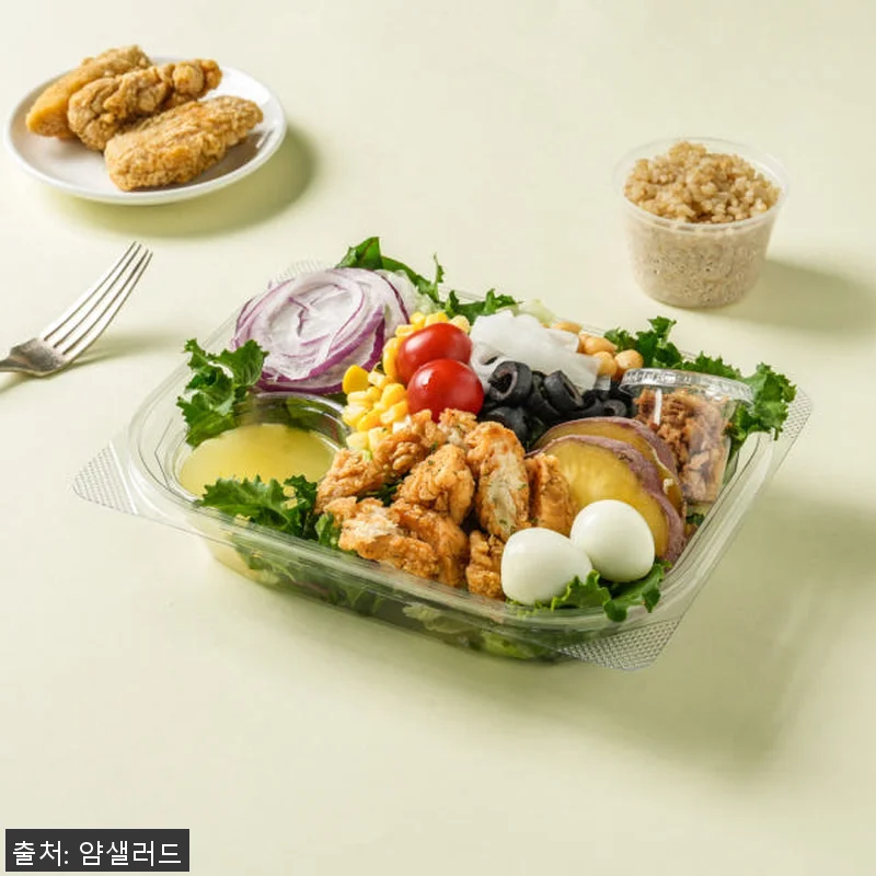 얌샐러드 샐러드 정기배송 4주식단 사 관련 이미지 4