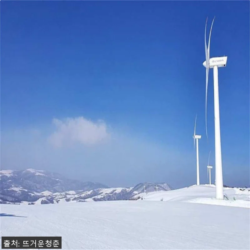 서울 출발 강원도 일일투어 사용후기 관련 이미지 5