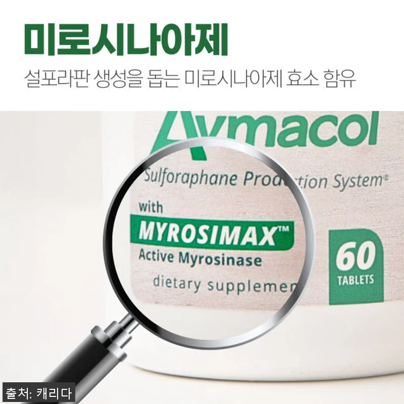 브로콜리새싹 설포라판 아브마콜 60정 관련 이미지 5