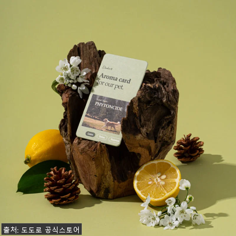 도도로 강아지 애견 방석 침대 쿠션 관련 이미지 4