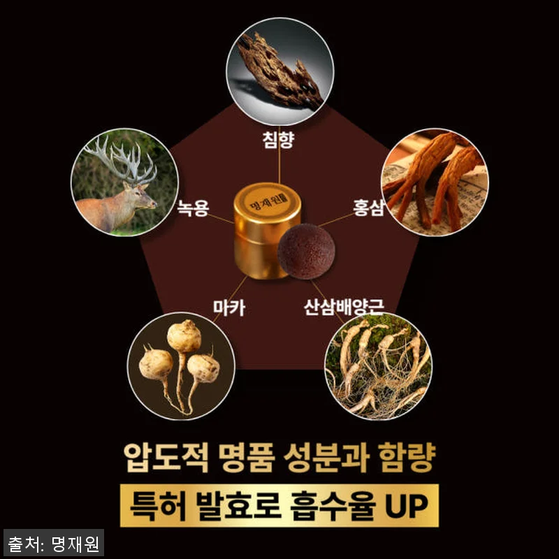 명재원 발효 침향환 산삼 침향환 사용 관련 이미지 4