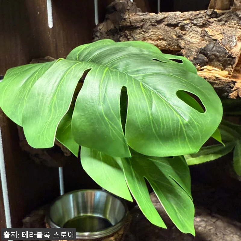 테라블록 3045 버튼잎바인 조화 시 관련 이미지 6