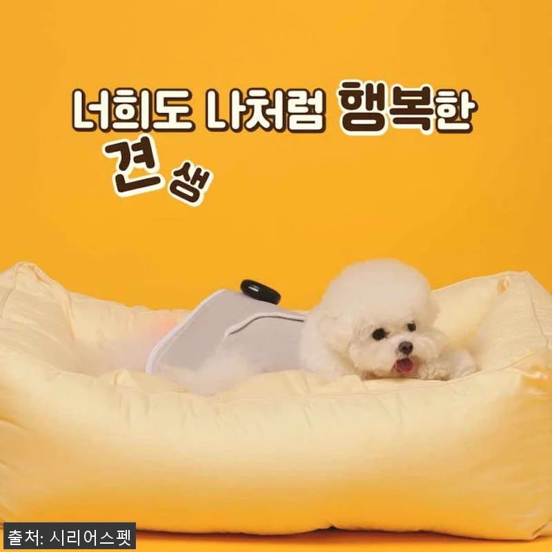 시리어스펫 슬개골 따땃망토 사용후기: 관련 이미지 6