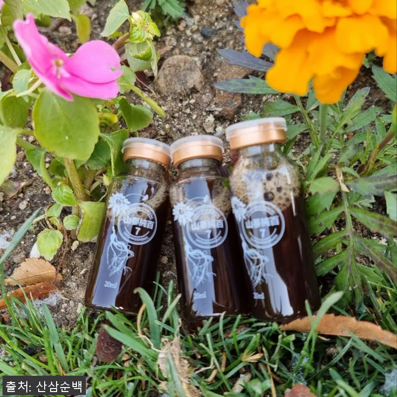 (1+1 이벤트) 산삼순백 7년근 산 관련 이미지 6