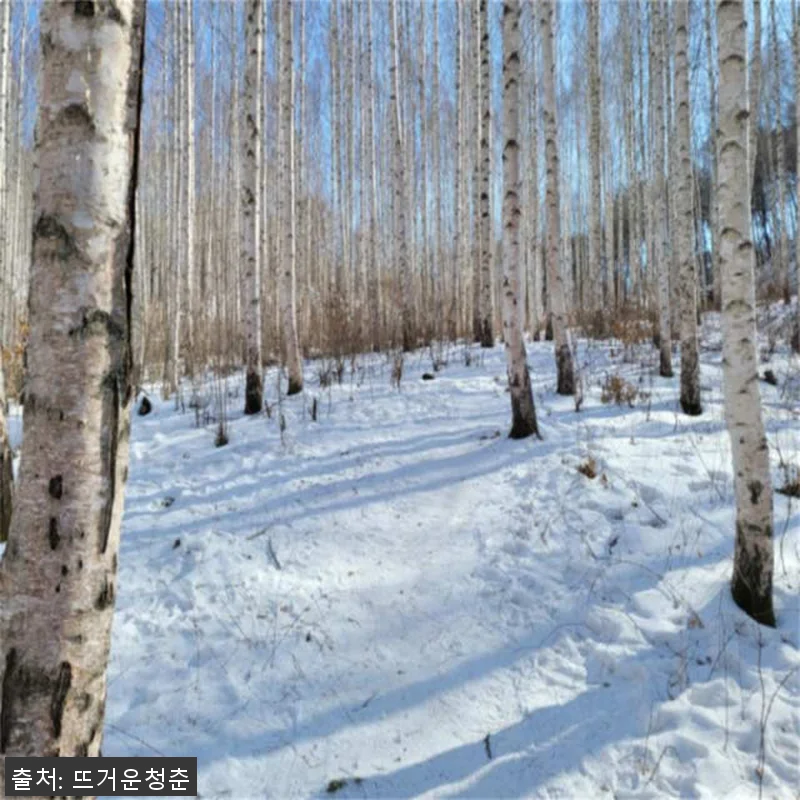 서울 출발 강원도 일일투어 사용후기 관련 이미지 6