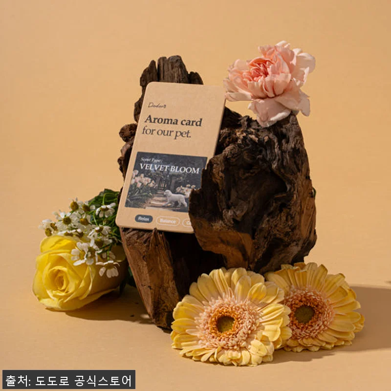 도도로 강아지 애견 방석 침대 쿠션 관련 이미지 5