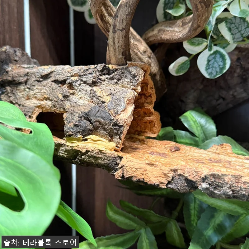 테라블록 3045 버튼잎바인 조화 시 관련 이미지 7