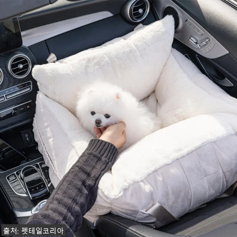 펫테일 셀러브리티 은나노 강아지 카시 관련 이미지 7