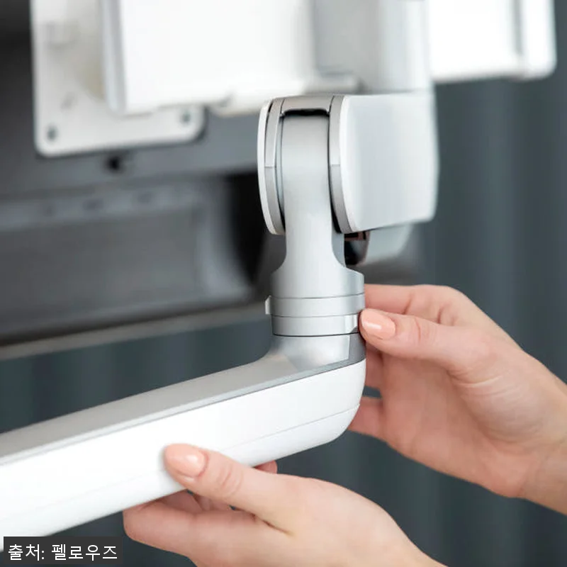 펠로우즈 라이징 고중량 프리미엄 싱글 관련 이미지 7