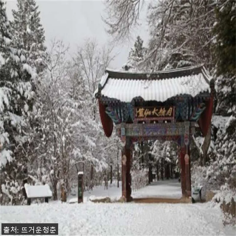 서울 출발 강원도 일일투어 사용후기 관련 이미지 7