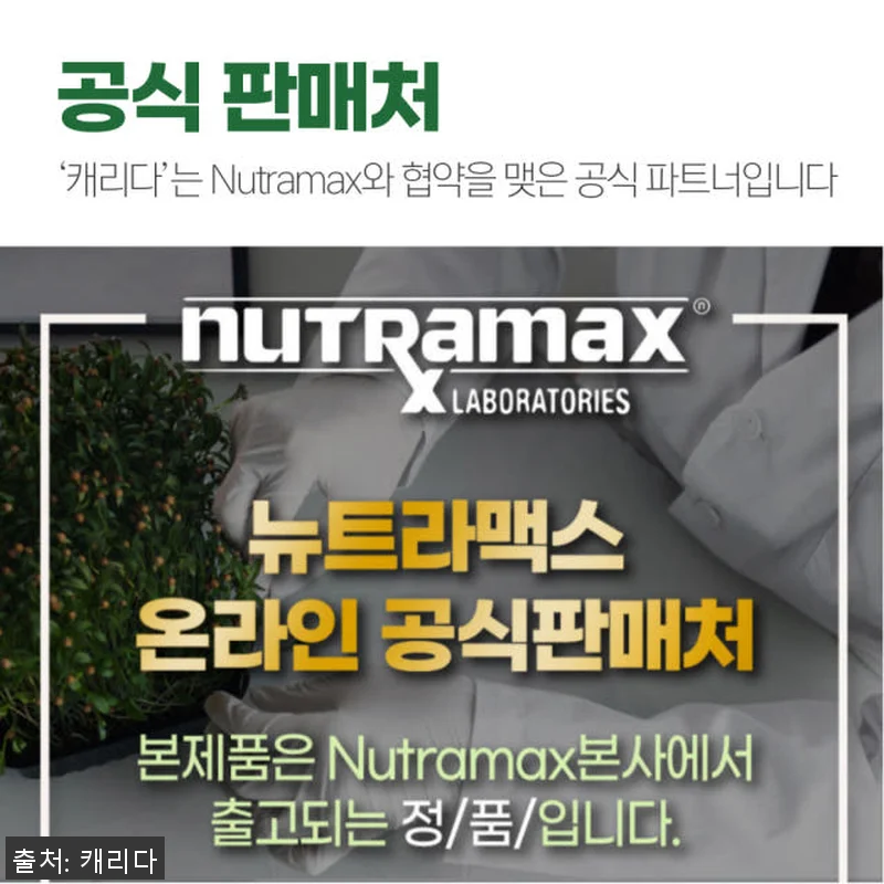 브로콜리새싹 설포라판 아브마콜 60정 관련 이미지 7