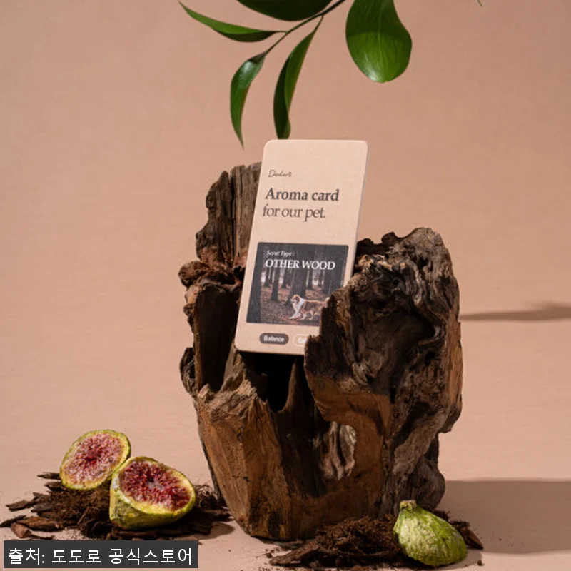 도도로 강아지 애견 방석 침대 쿠션 관련 이미지 6