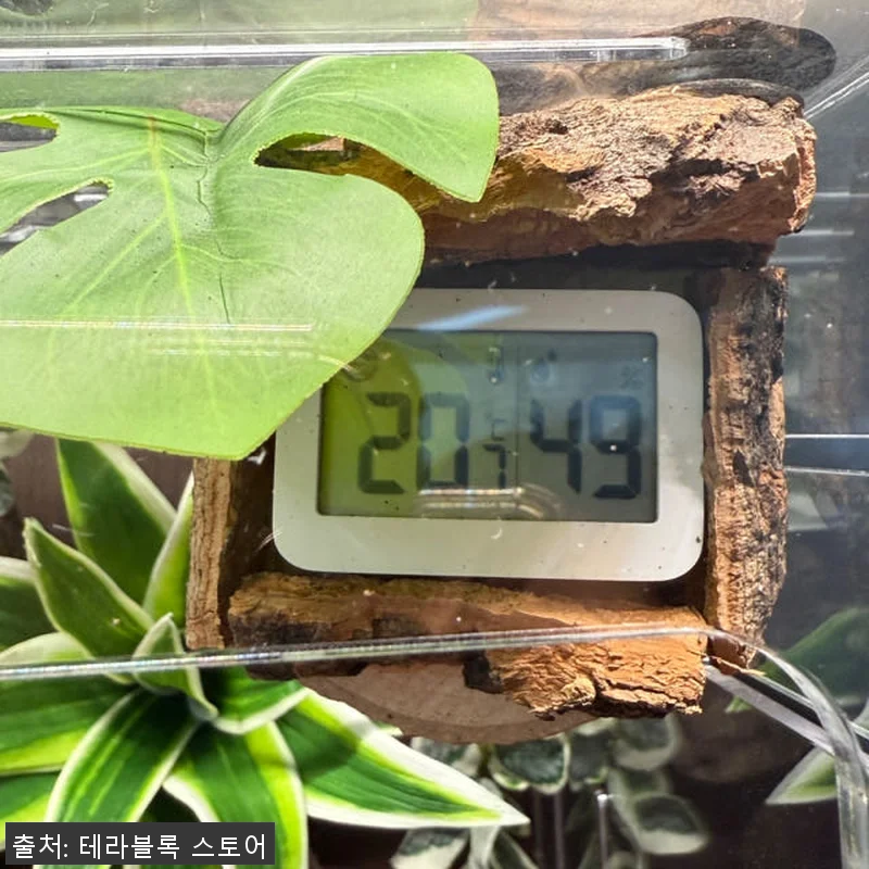 테라블록 3045 버튼잎바인 조화 시 관련 이미지 8