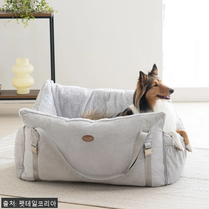 펫테일 셀러브리티 은나노 강아지 카시 관련 이미지 8