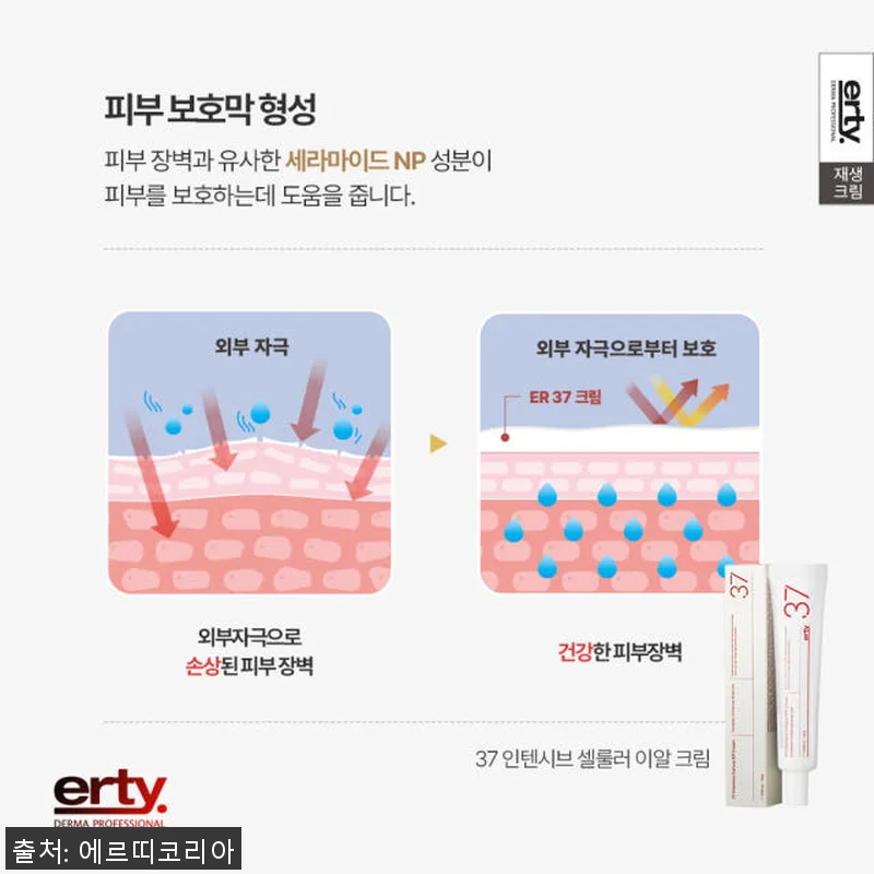 에르띠 37 인텐시브 셀룰러 이알 크 관련 이미지 8